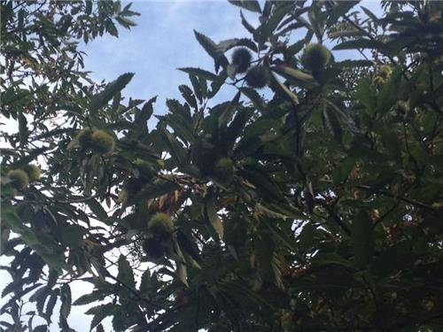 Orino: i luoghi (inserita in galleria)