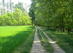 parco del ticino sentiero strona