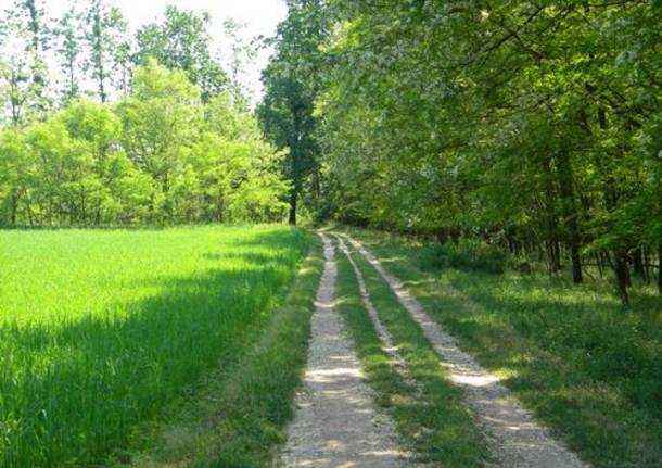 parco del ticino sentiero strona