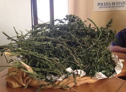 Sequestrati 15 chili di marijuana a Varese (inserita in galleria)