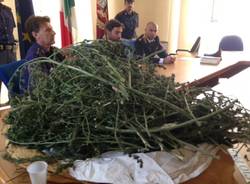 Sequestrati 15 chili di marijuana a Varese (inserita in galleria)