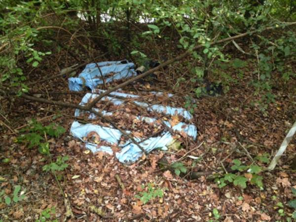 Amianto nei boschi di Vergiate (inserita in galleria)