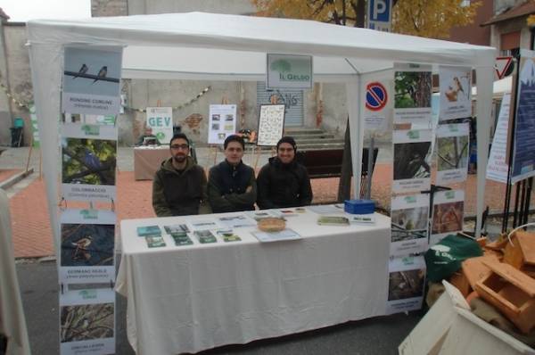 Autunno in piazza a Gerenzano (inserita in galleria)