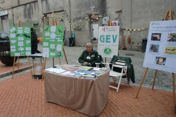 Autunno in piazza a Gerenzano (inserita in galleria)