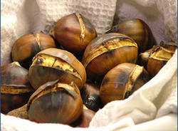 caldarroste apertura tempo libero castagne