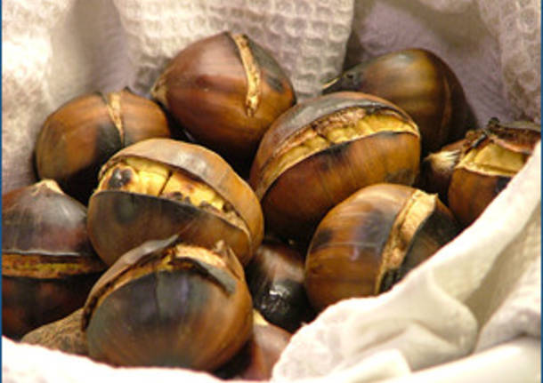 caldarroste apertura tempo libero castagne