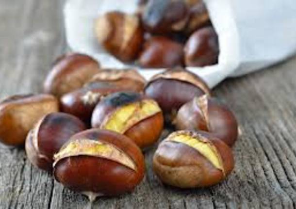 caldarroste castagne 