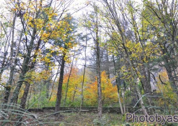 Colori d’autunno alla Rasa