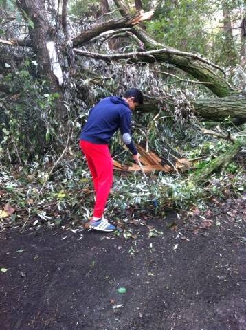 Fauna ittica al Tinella (inserita in galleria)