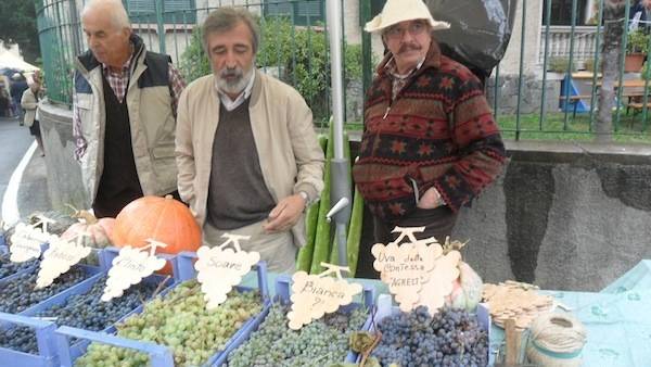 Funghi e Zucche in scena a Vergiate  (inserita in galleria)