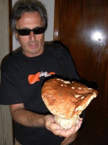 funghi ottobre 2013 (per gallerie fotografiche)