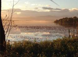 Il lago di Varese visto dal "Buguggino" (inserita in galleria)