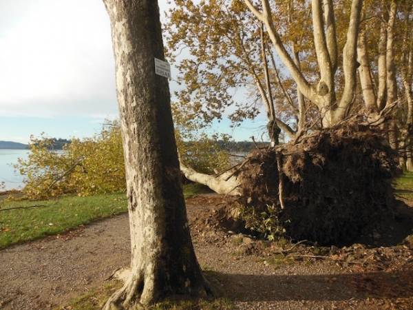 Il maltempo in provincia (inserita in galleria)