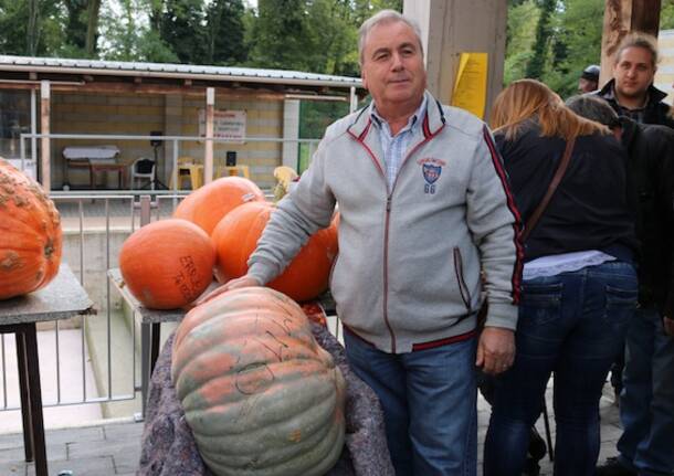 La zucca più grande di Legnano