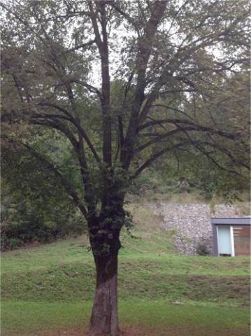 Luvinate: i luoghi (inserita in galleria)