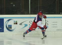 Mastini - Val di Sole 12-1 (inserita in galleria)