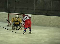 Mastini - Val di Sole 12-1 (inserita in galleria)