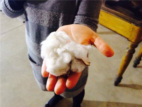 Nel museo del tessile (inserita in galleria)