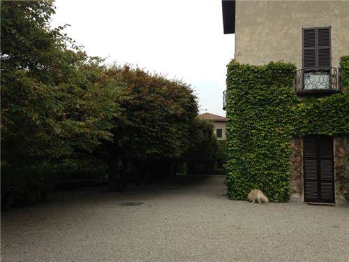 Nella villa Aletti Stampa (inserita in galleria)