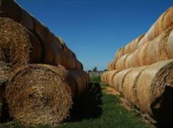 premi concorso fotografia bcc agricoltura fattoria