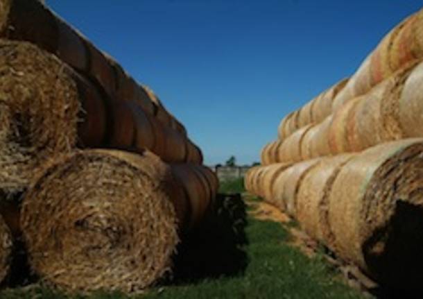 premi concorso fotografia bcc agricoltura fattoria