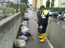 Pulizia dell'Arnetta a Gallarate (inserita in galleria)