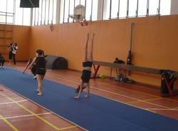 Una giornata di Ginnastica varesina  (inserita in galleria)