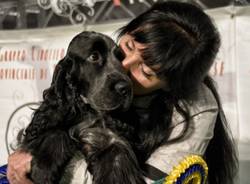 A Malpensa, la passerella canina (inserita in galleria)