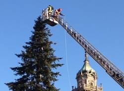 albero di natale 2013 piazza monte grappa