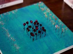 Festa degli alberi, l'incontro in galleria Ghiggini (inserita in galleria)