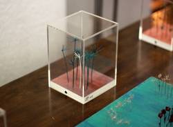 Festa degli alberi, l'incontro in galleria Ghiggini (inserita in galleria)