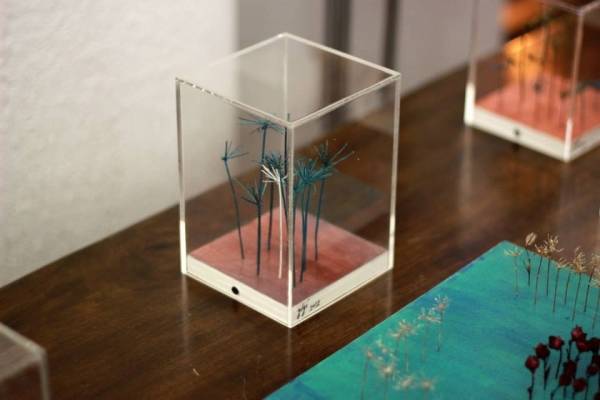 Festa degli alberi, l'incontro in galleria Ghiggini (inserita in galleria)