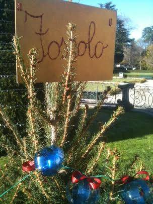 I bambini vestono il Natale (inserita in galleria)