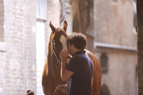 Il Palio di Siena raccontato dalle immagini di Roberto Gernetti (inserita in galleria)