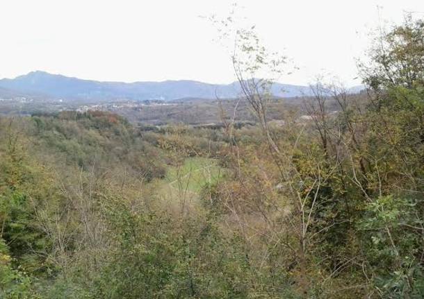 Il parco della Bevera dal balcone di Velmaio e Dovese (inserita in galleria)