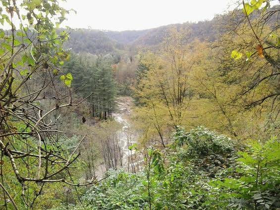 Il parco della Bevera dal balcone di Velmaio e Dovese (inserita in galleria)