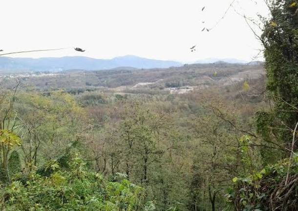 Il parco della Bevera dal balcone di Velmaio e Dovese (inserita in galleria)