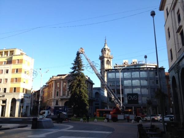 Illuminato l'abete di piazza Montegrappa (inserita in galleria)