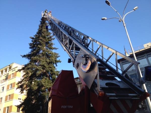 Illuminato l'abete di piazza Montegrappa (inserita in galleria)