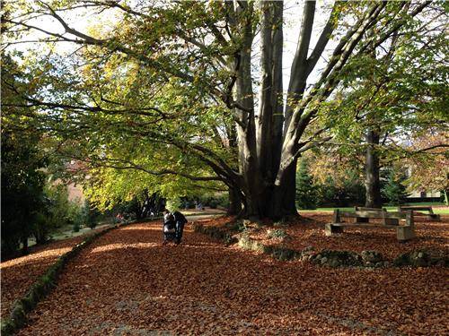 L'autunno nel parco di Villa Augusta (inserita in galleria)