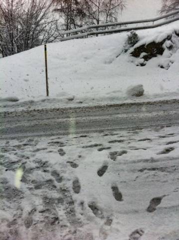 L'inverno è arrivato (inserita in galleria)