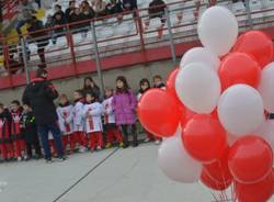 Varese - Crotone 2-0 (inserita in galleria)