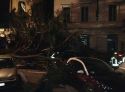 Vento: i disastri a Luino (inserita in galleria)