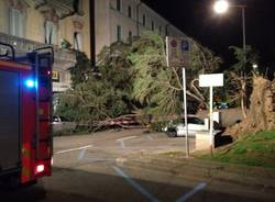 Vento: i disastri a Luino (inserita in galleria)