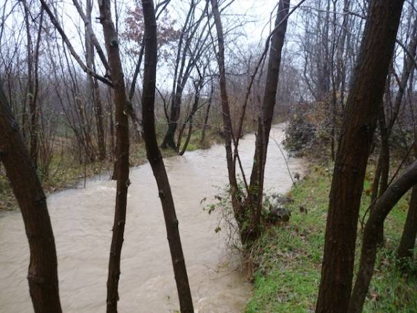 A Cassano Magnago il Rile è esondato  (inserita in galleria)