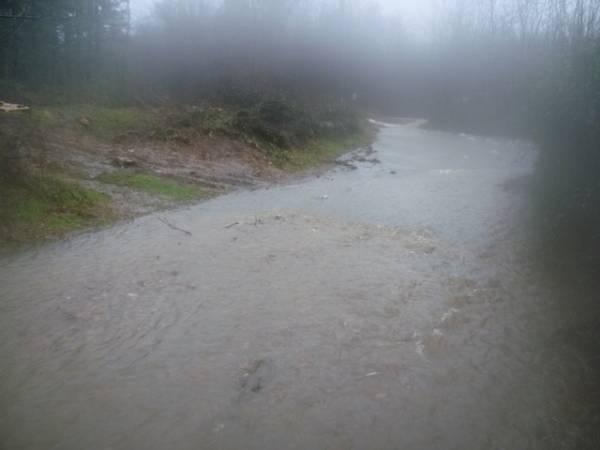 A Cassano Magnago il Rile è esondato  (inserita in galleria)