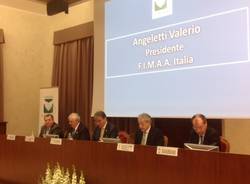 Convegno provinciale di Fimaa (inserita in galleria)