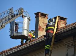 La scimmia fugge: la fotosequenza (inserita in galleria)