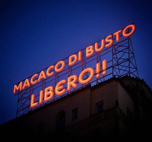 La scimmia sui social network (inserita in galleria)