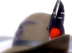 cappello alpino apertura